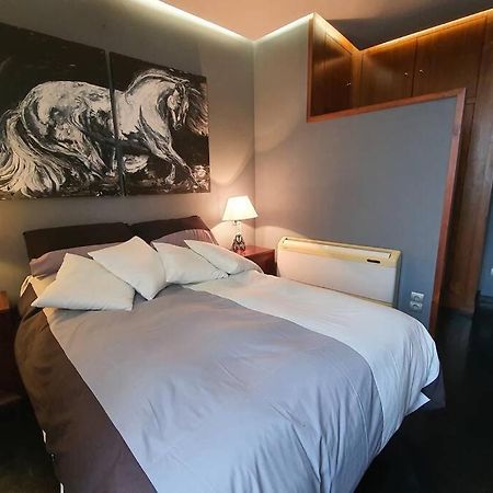 Atico Singular En El Centro Historico. Apartment Jaen Luaran gambar